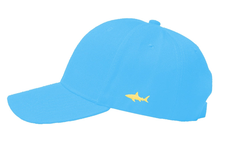 LIGHT BLUE CAP